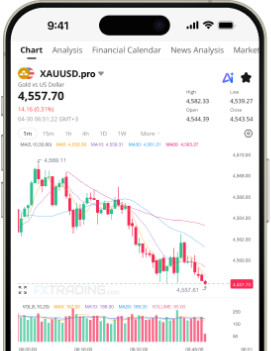 FXT WebTrader