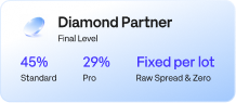Diamond Partner